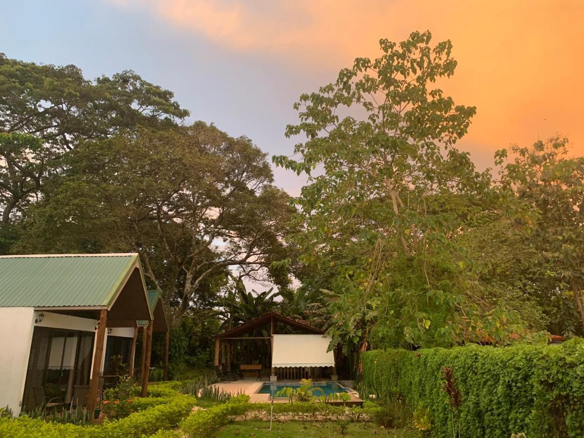 Villa Cabuya & Jungle *